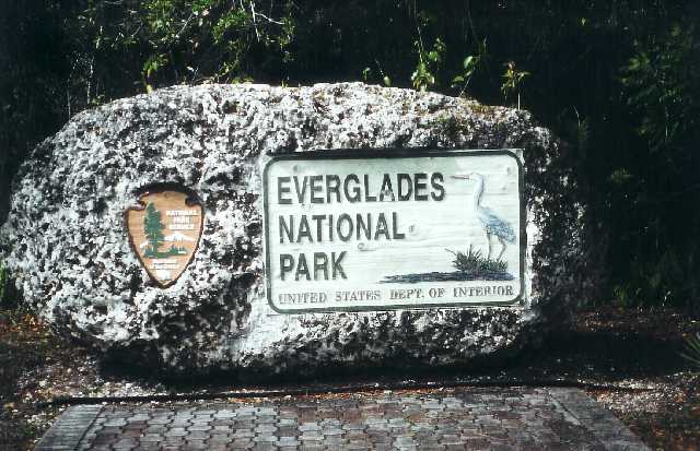 everglades1.jpg