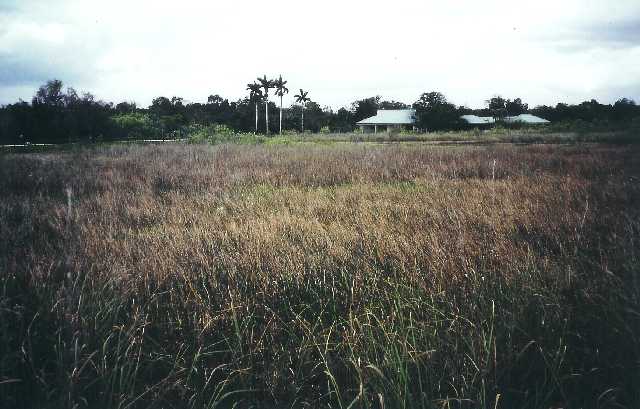 everglades3.jpg