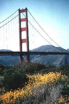 goldengate2.jpg