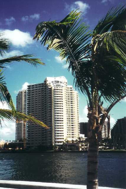 miami3.jpg