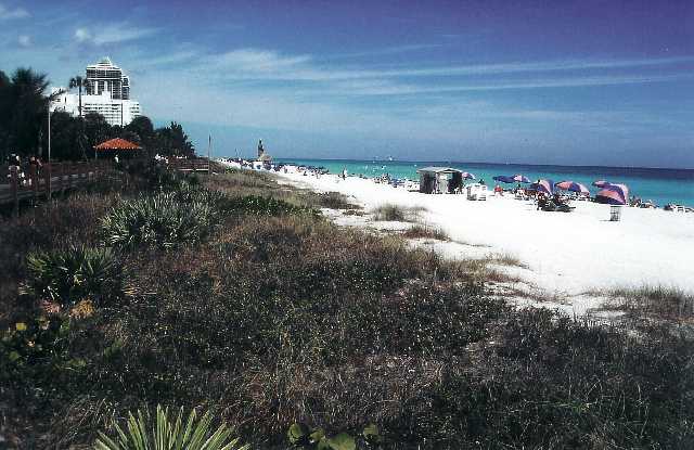 miamibeach3.jpg