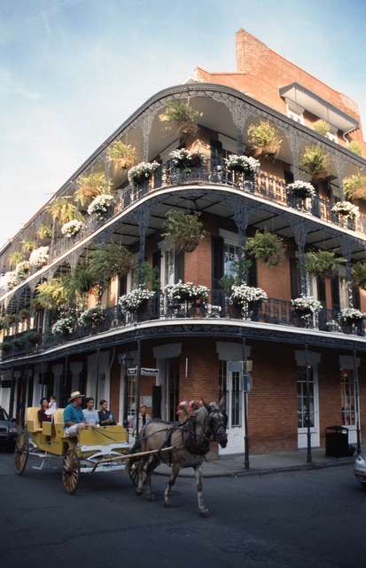 neworleans2.jpg