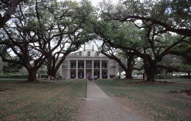 oakalley2.jpg