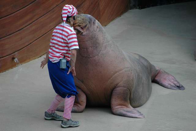 seaworldorl2.jpg