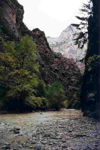 zion1.jpg