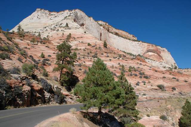 zion4.jpg